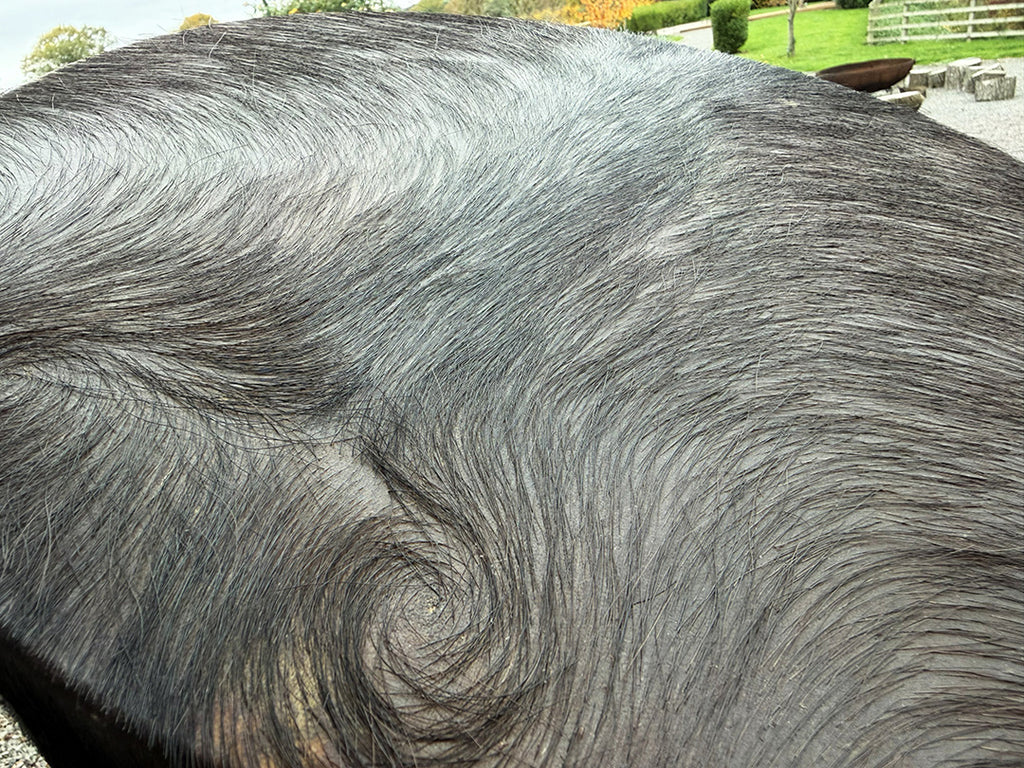 16" Buffalo Shamanic Drum Extended Cross