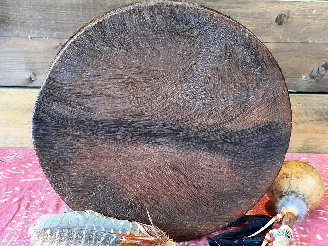 16" Buffalo Shamanic Drum American Native