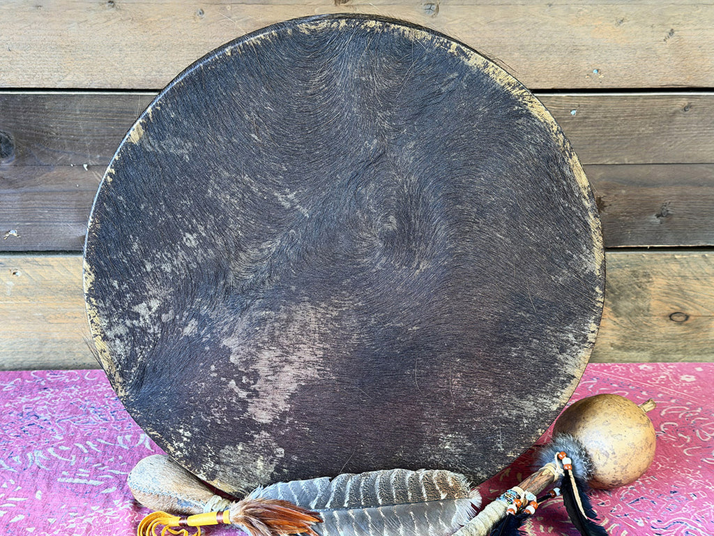 20" Buffalo Shamanic Drum Falcon