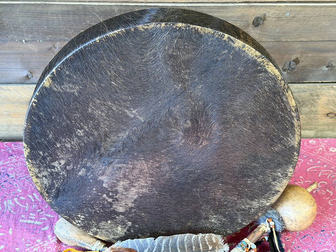 20" Buffalo Shamanic Drum Falcon