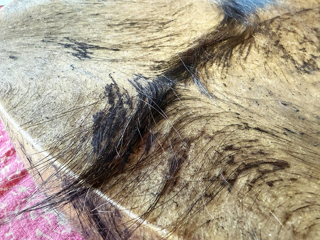 24" Buffalo Shamanic Drum Ankh