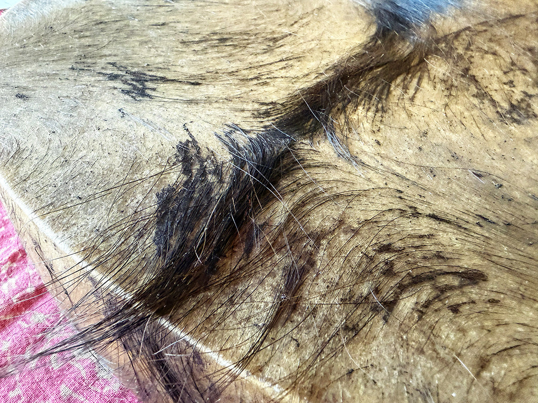 24" Buffalo Shamanic Drum Ankh