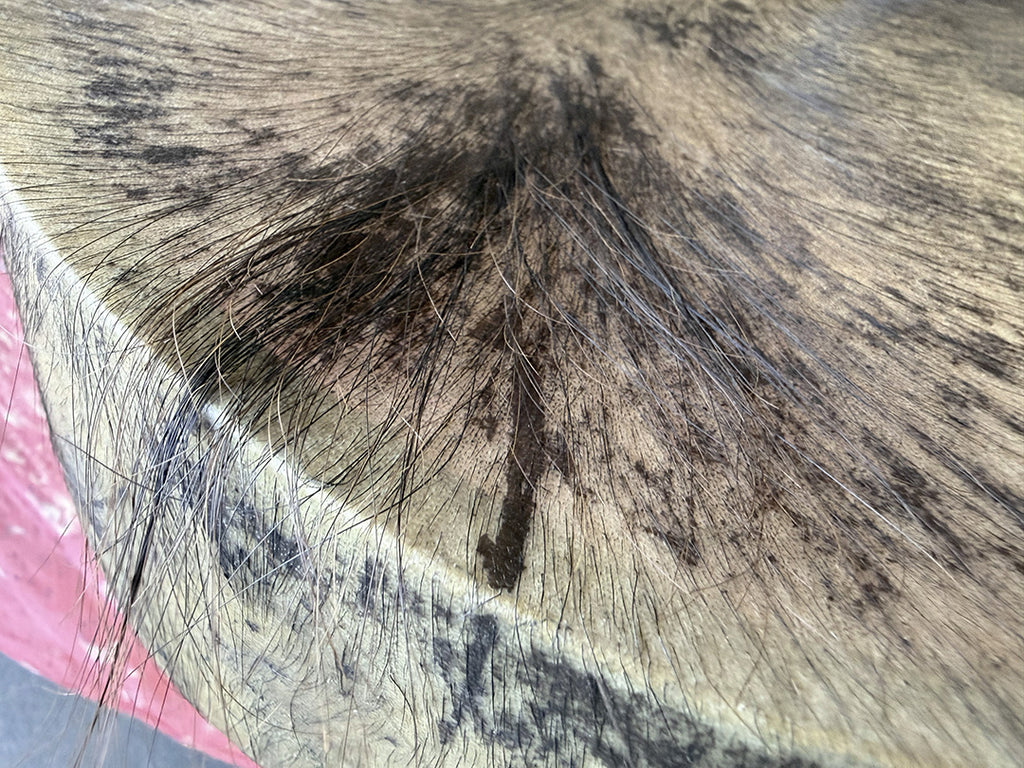 28" Oval Buffalo Shamanic Drum Dancing Lady