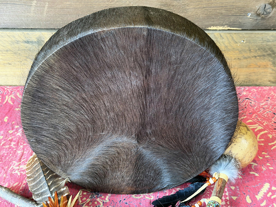 14" Buffalo Shamanic Drum Spiral Spread Lace