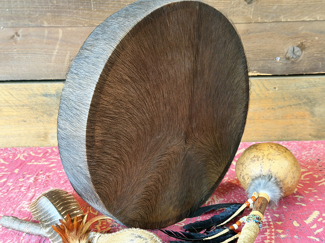 14" Buffalo Shamanic Drum Spiral Spread Lace