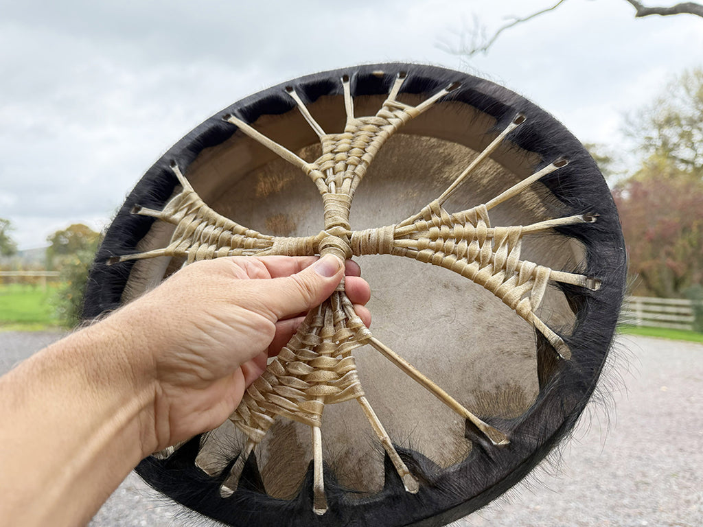 14" Buffalo Shamanic Drum Spiral Spread Lace