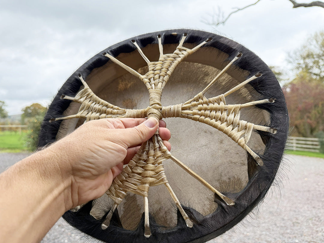 14" Buffalo Shamanic Drum Spiral Spread Lace