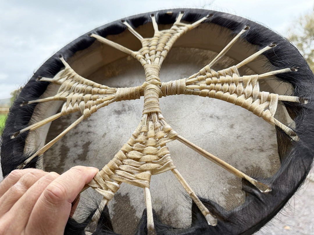 14" Buffalo Shamanic Drum Spiral Spread Lace