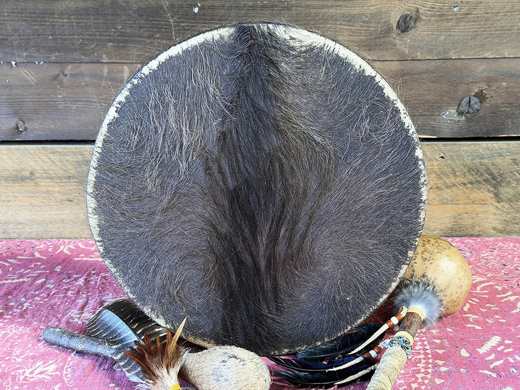 14" Buffalo Shamanic Drum Ankh Lace