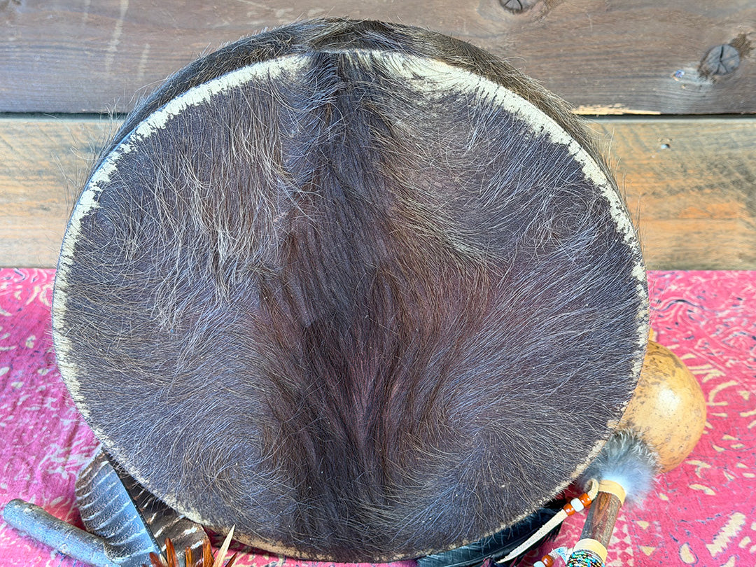 14" Buffalo Shamanic Drum Ankh Lace