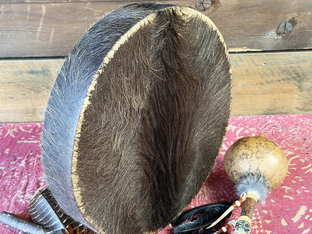14" Buffalo Shamanic Drum Ankh Lace