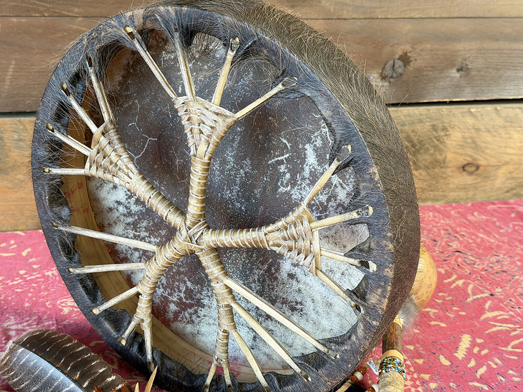 14" Buffalo Shamanic Drum Ankh Lace