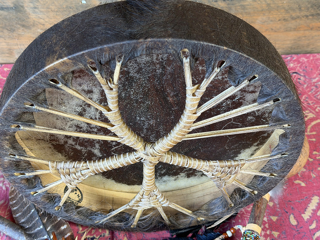 14" Buffalo Shamanic Drum Ankh Lace