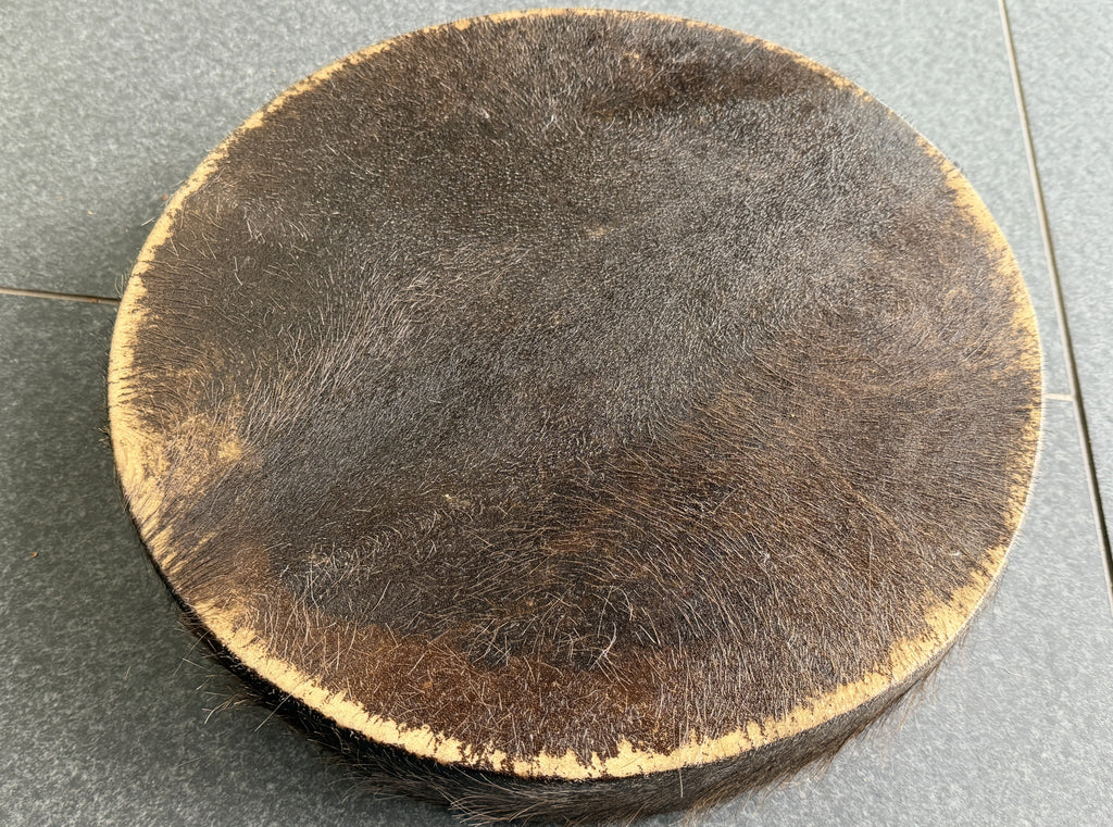 14" Buffalo Shamanic Drum with Ankh Lace