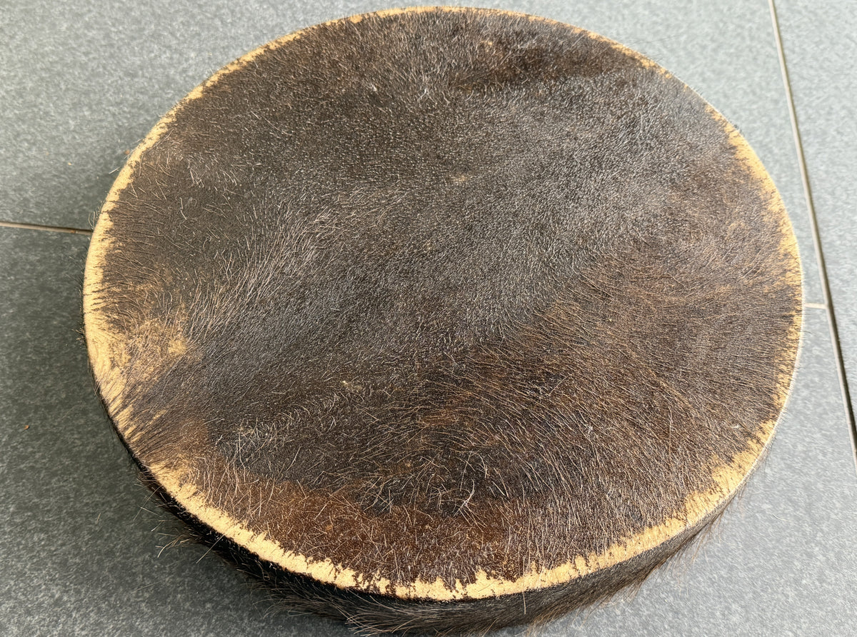 14" Buffalo Shamanic Drum with Ankh Lace