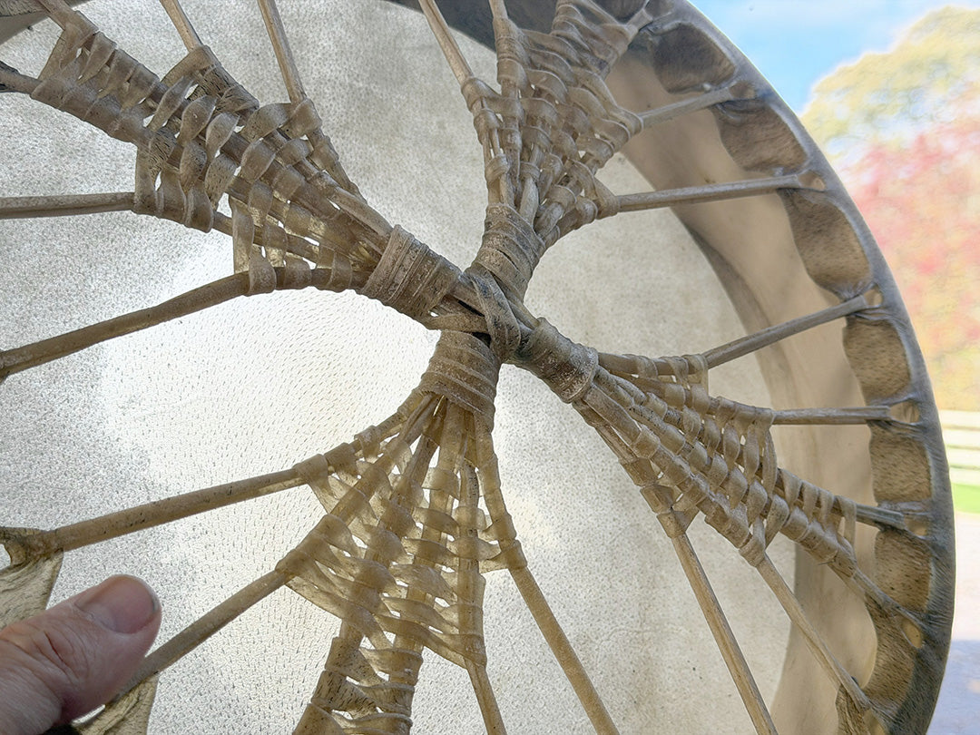 14" Buffalo Shamanic Drum Four Palm Lace