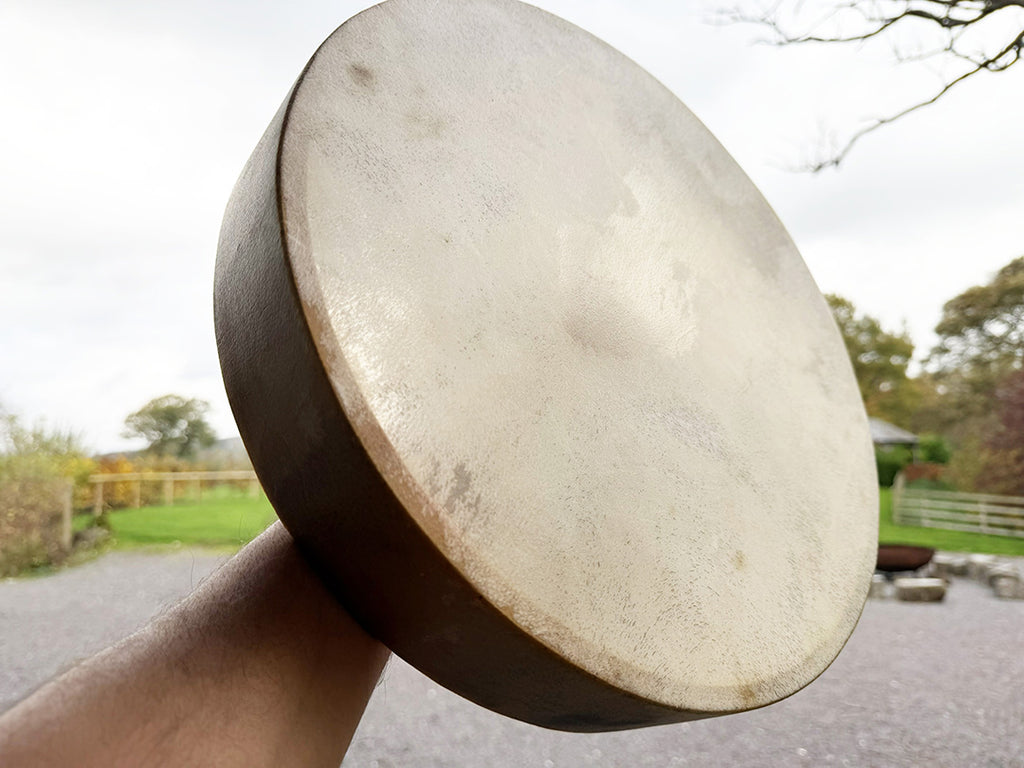 14" Buffalo Shamanic Drum Falcon Lace