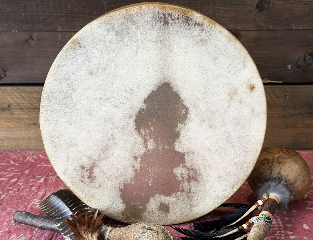 14" Buffalo Shamanic Drum Falcon Lace
