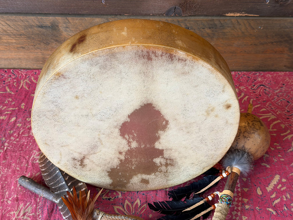 14" Buffalo Shamanic Drum Falcon Lace
