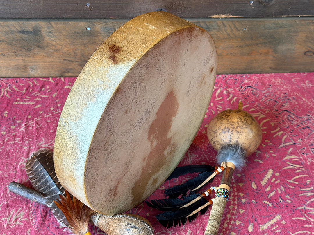 14" Buffalo Shamanic Drum Falcon Lace