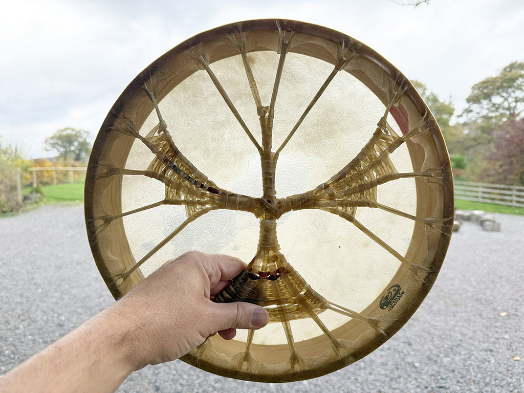 14" Buffalo Shamanic Drum Falcon Lace
