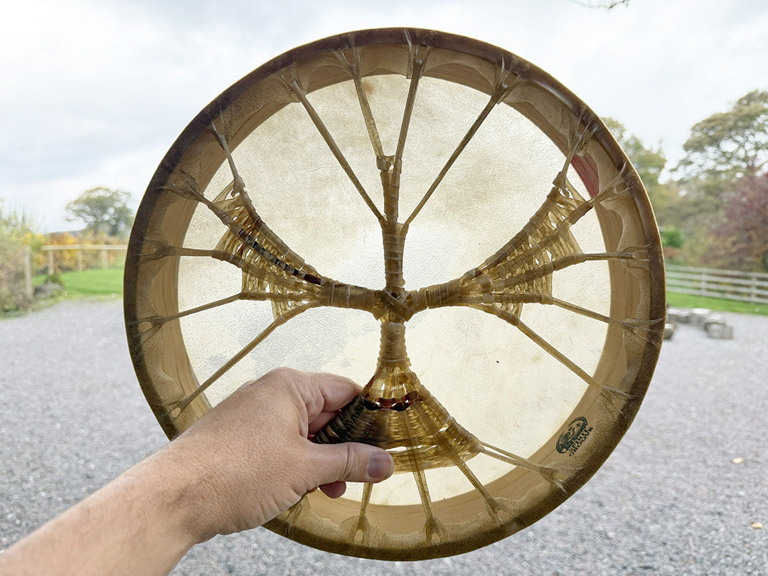 14" Buffalo Shamanic Drum Falcon Lace
