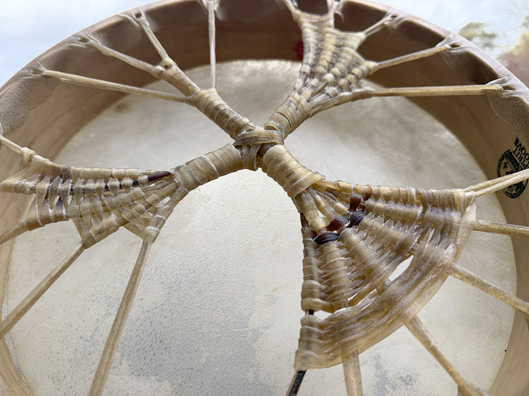 14" Buffalo Shamanic Drum Falcon Lace