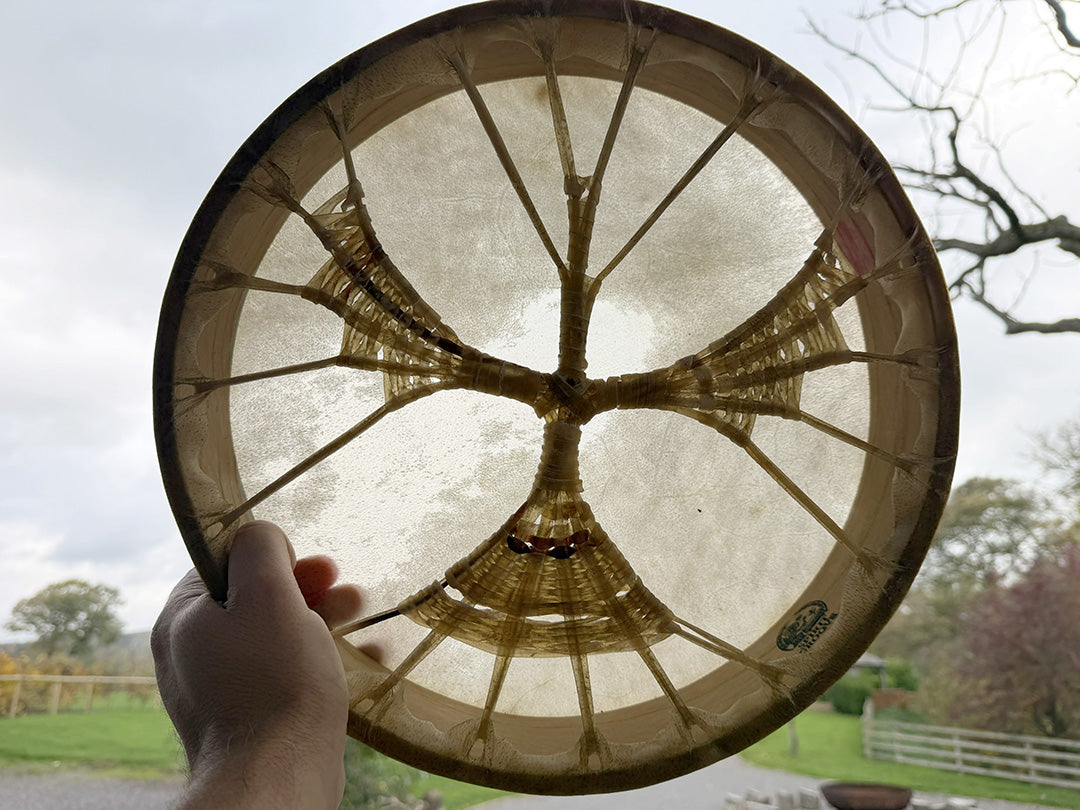 14" Buffalo Shamanic Drum Falcon Lace