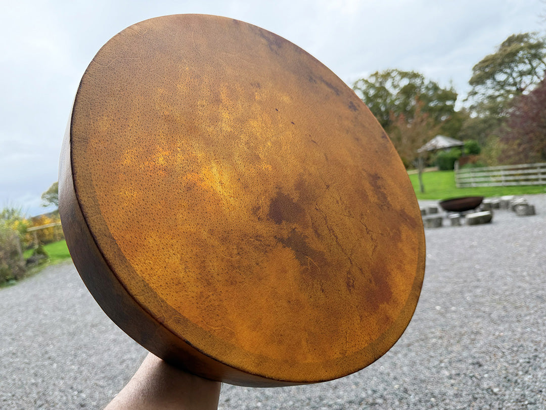 16" Buffalo Shamanic Drum Spiral Spread Lace