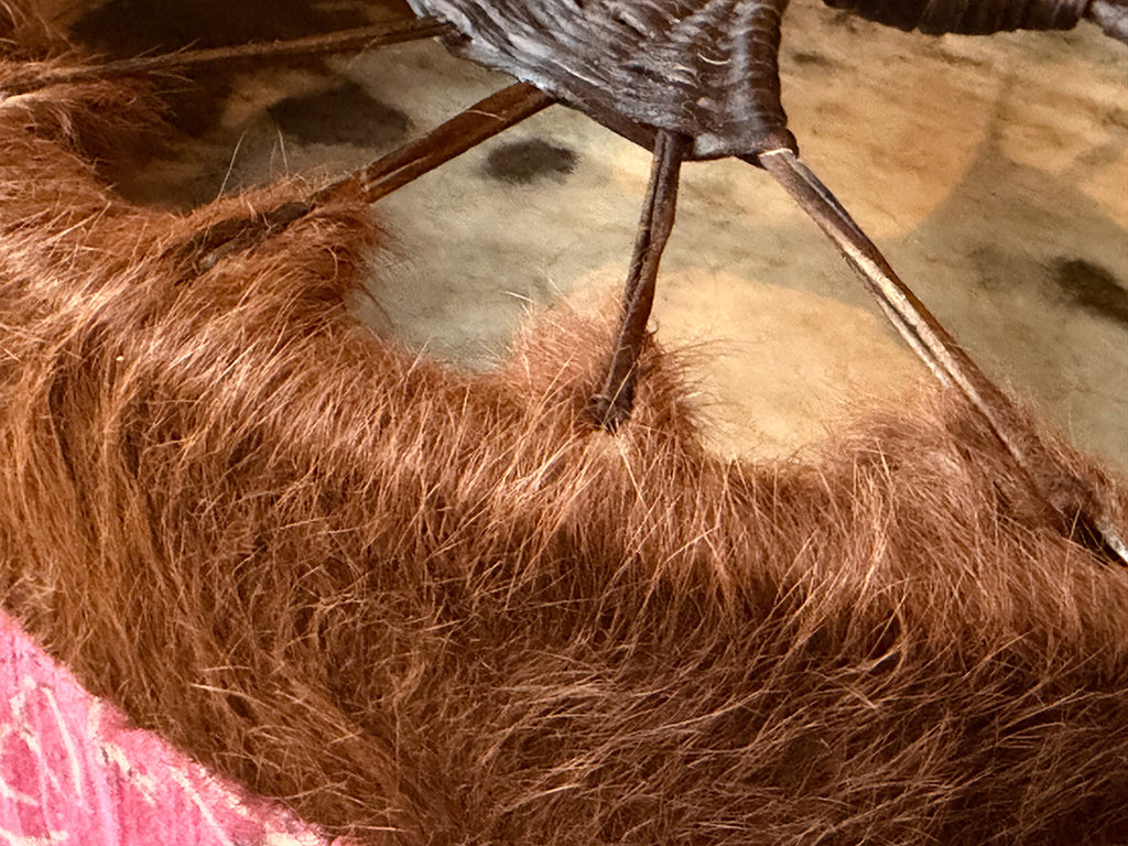 16" Cow Shamanic Drum