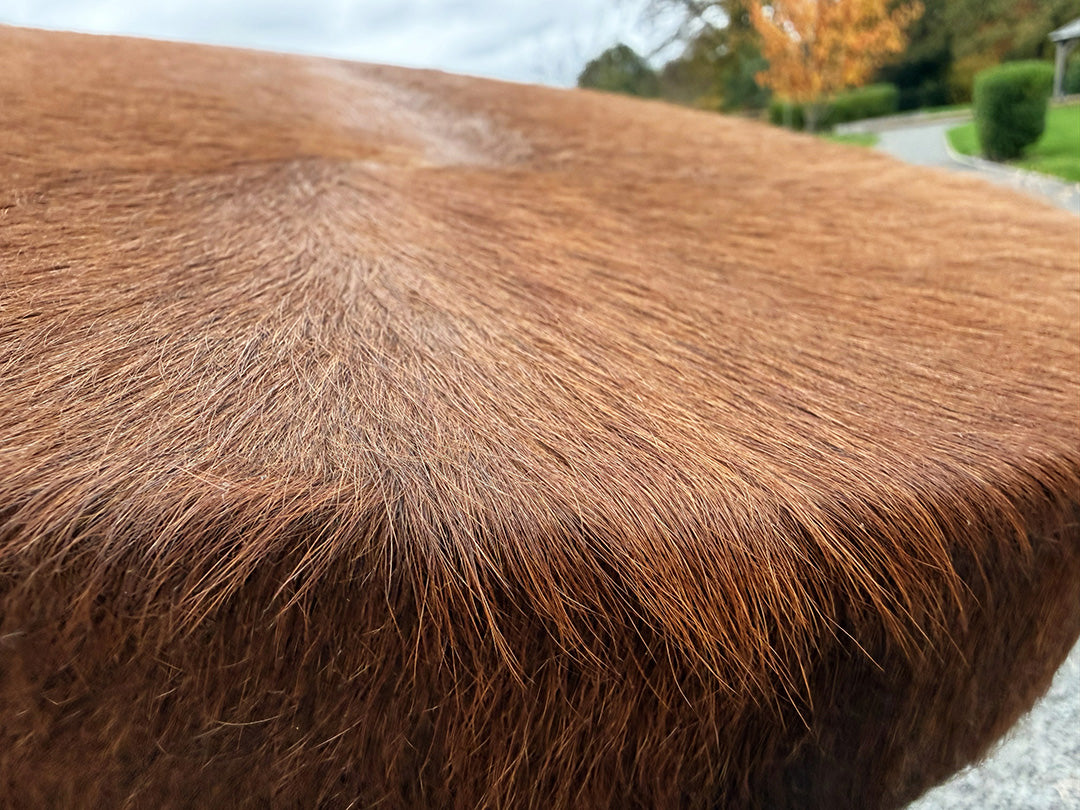 16" Cow Shamanic Drum