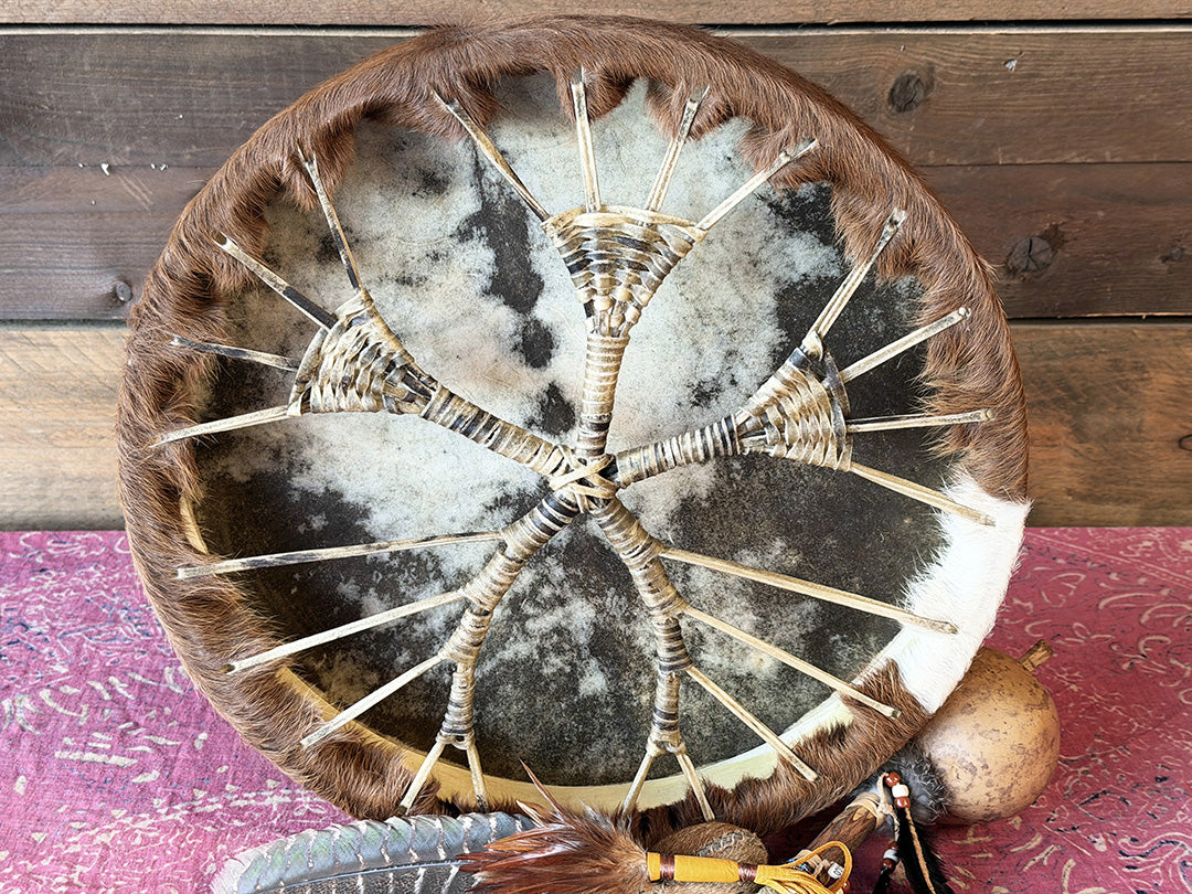18" Cow Shamanic Drum Ankh Lace