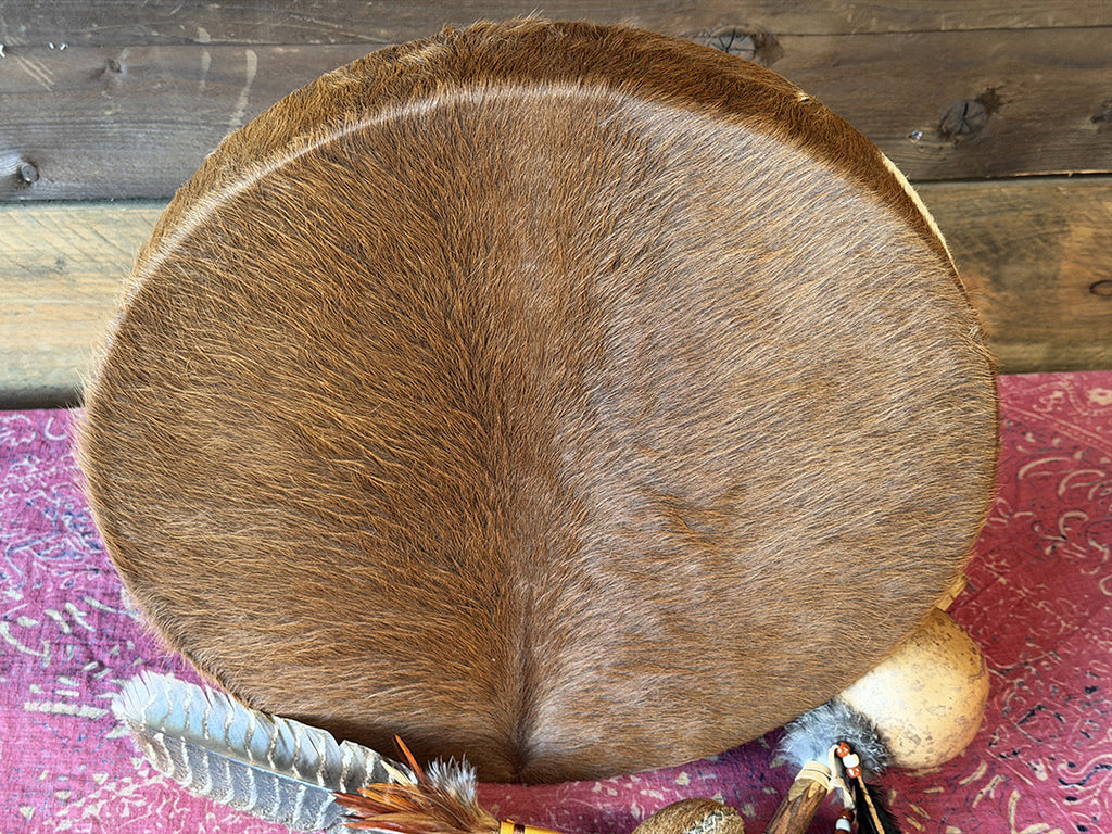 18" Cow Shamanic Drum Ankh Lace