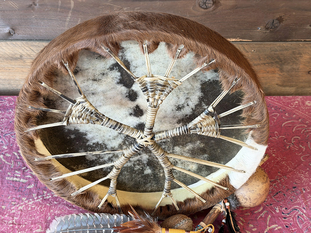 18" Cow Shamanic Drum Ankh Lace