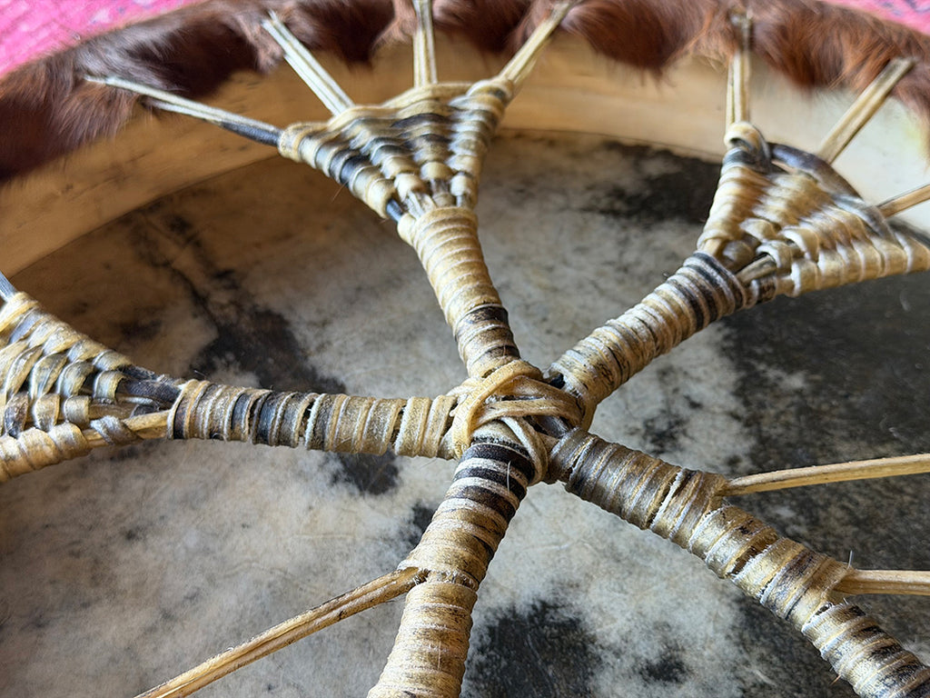 18" Cow Shamanic Drum Ankh Lace