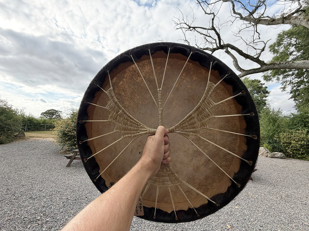 22" Buffalo Shamanic Drum Falcon Lace
