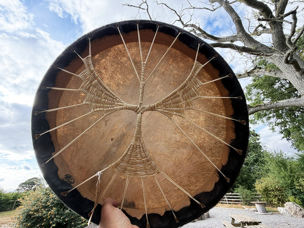 22" Buffalo Shamanic Drum Falcon Lace
