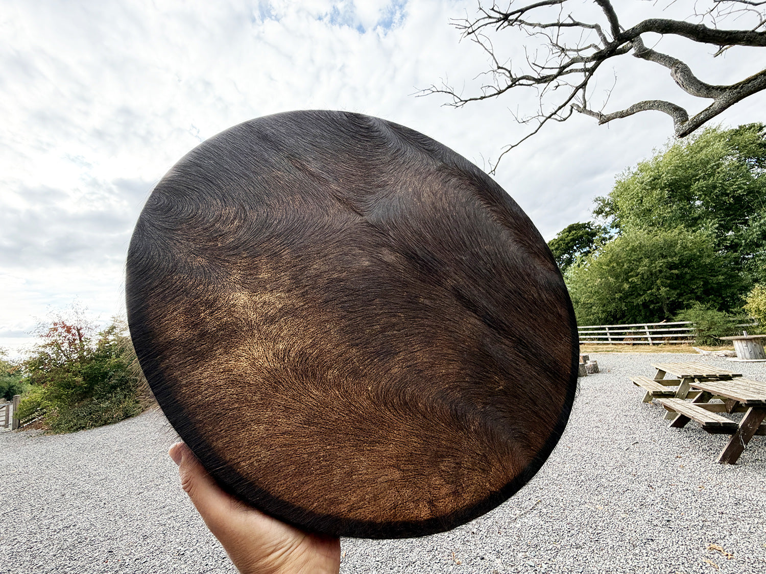 22" Buffalo Shamanic Drum Falcon Lace
