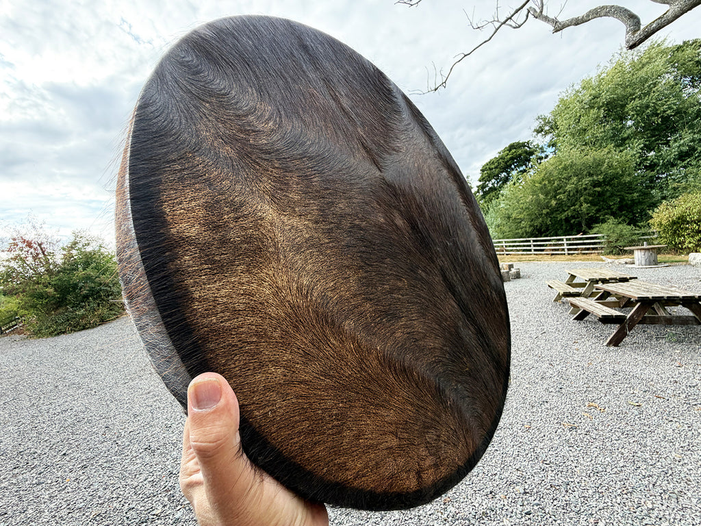 22" Buffalo Shamanic Drum Falcon Lace