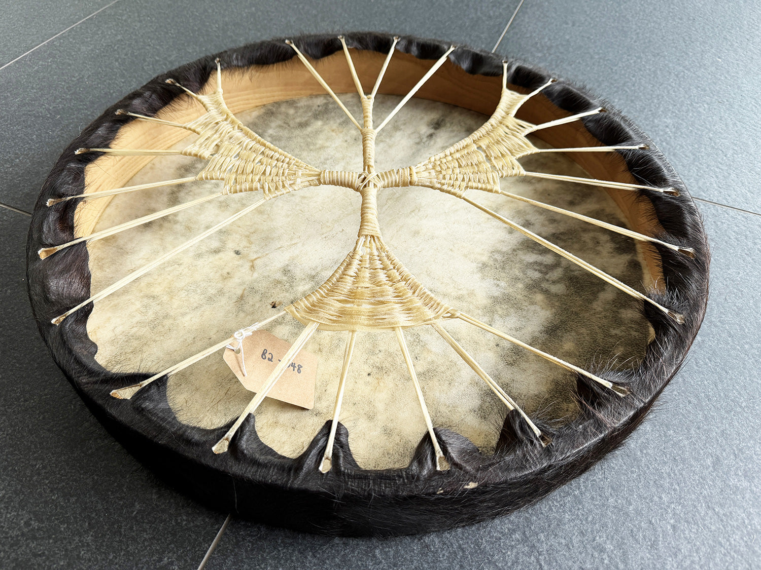 22" Buffalo Shamanic Drum Falcon Lace