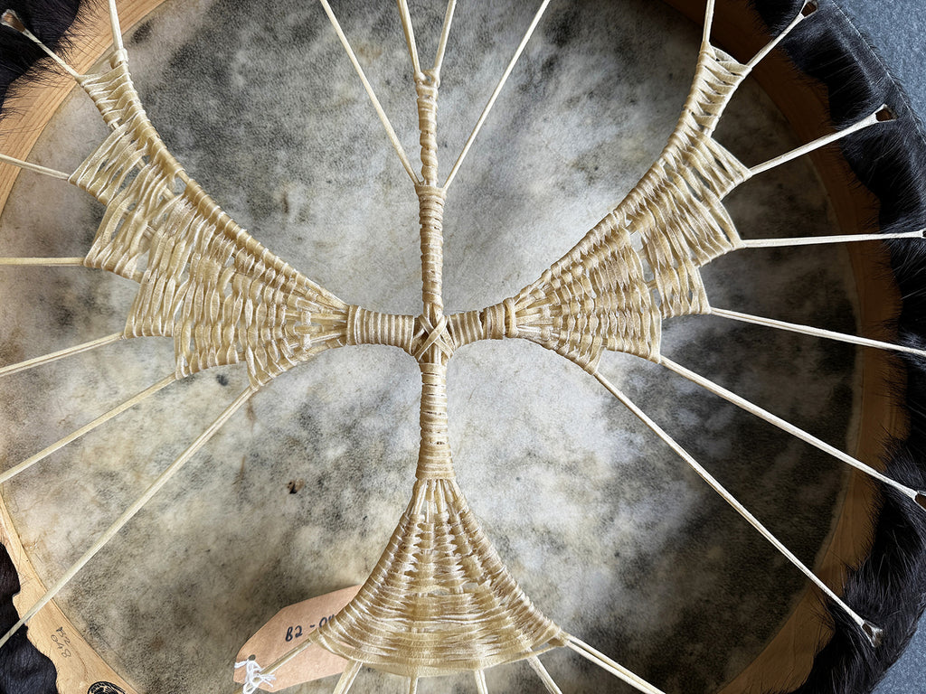 22" Buffalo Shamanic Drum Falcon Lace