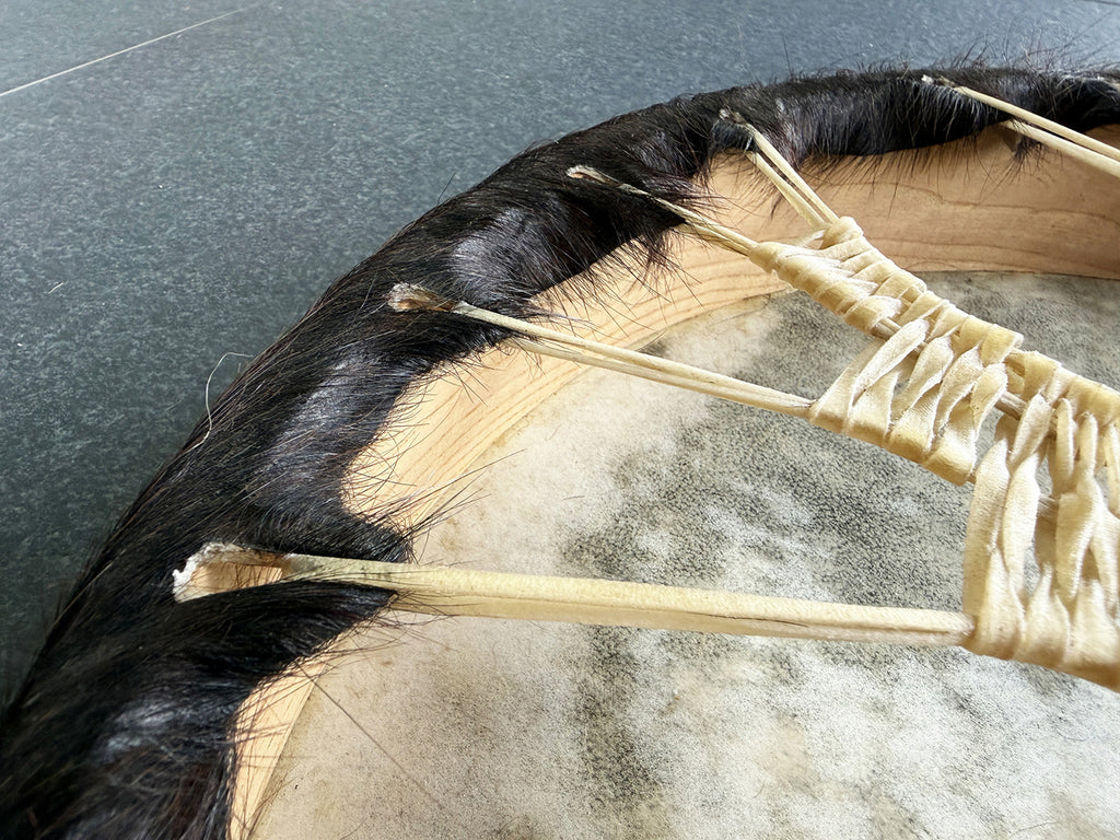 22" Buffalo Shamanic Drum Falcon Lace