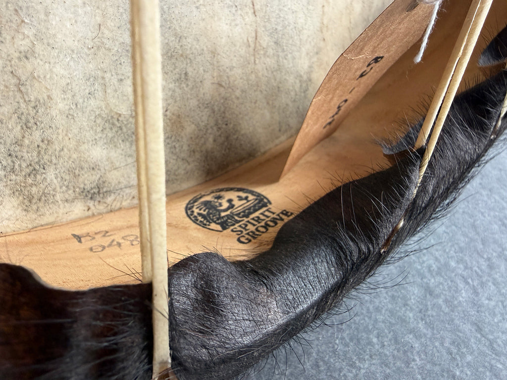 22" Buffalo Shamanic Drum Falcon Lace