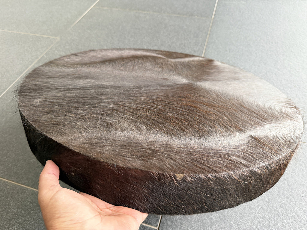 22" Buffalo Shamanic Drum Falcon Lace