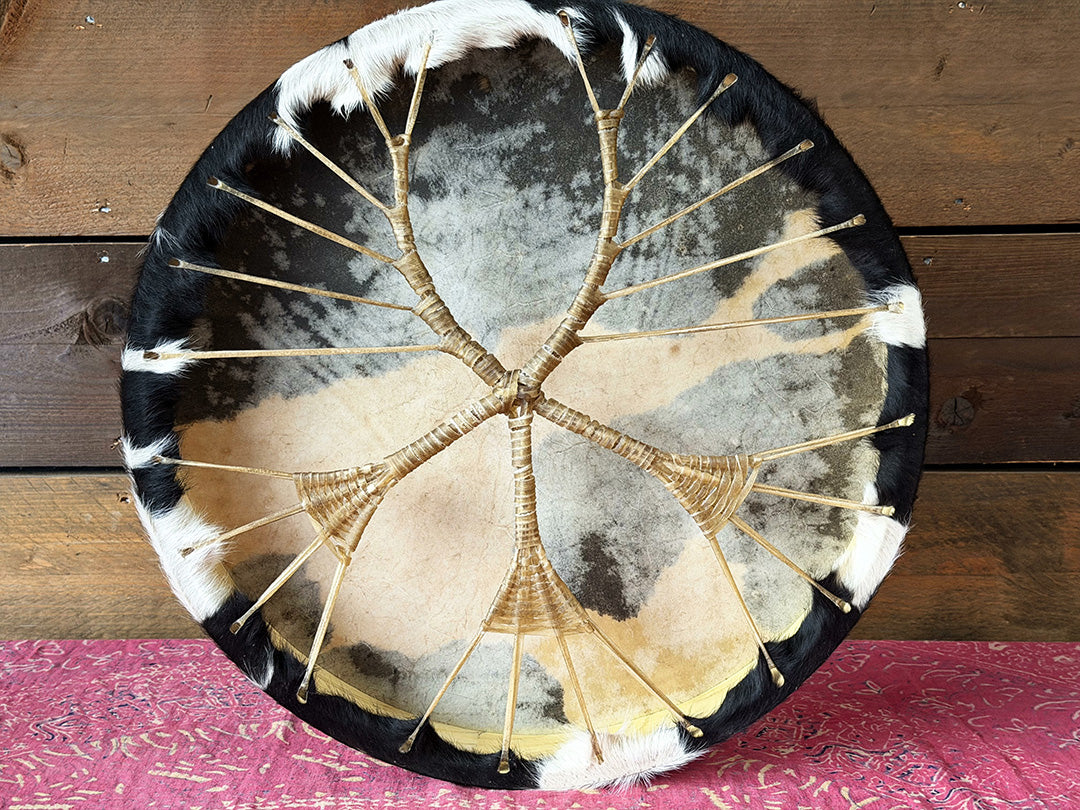 22" Cow Shamanic Drum Ankh Lace