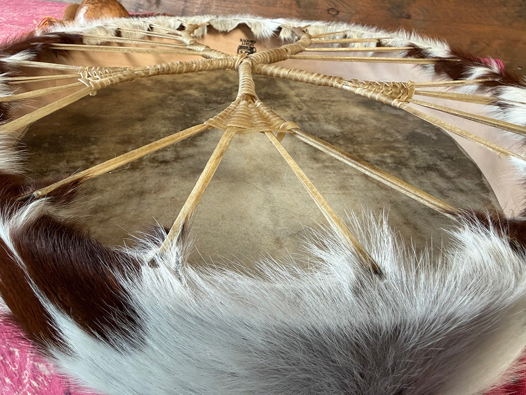 24" Oval Cow Shamanic Drum Ankh Lace