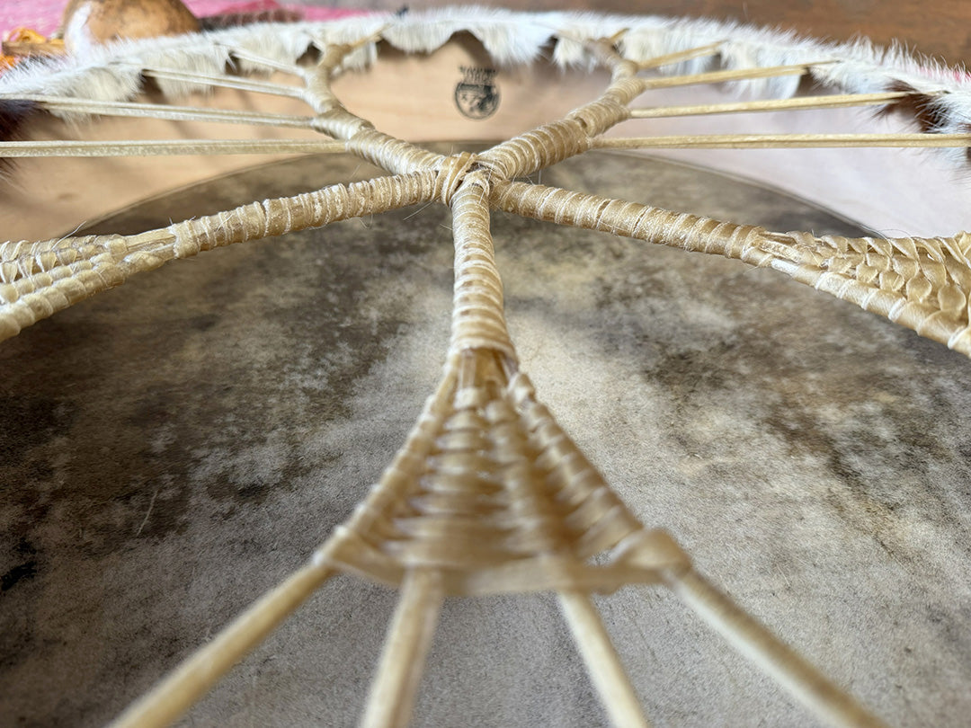 24" Oval Cow Shamanic Drum Ankh Lace