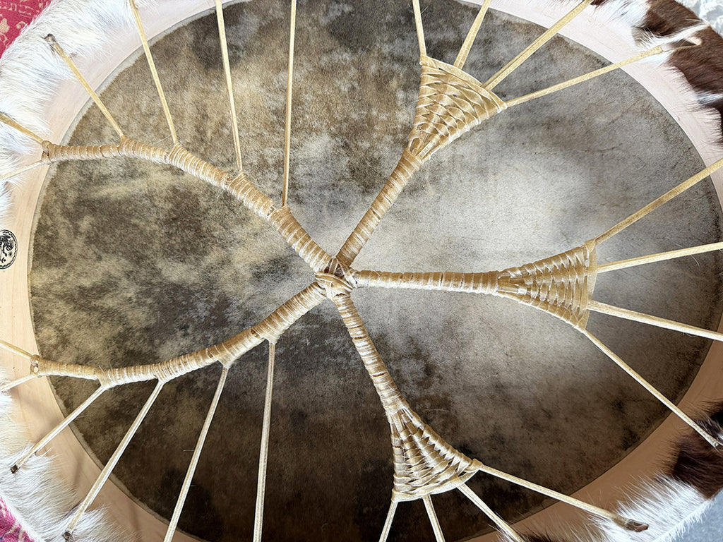 24" Oval Cow Shamanic Drum Ankh Lace