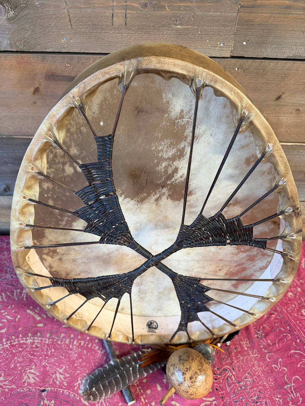 28" Oval Buffalo Shamanic Drum Spiral Spread Lace