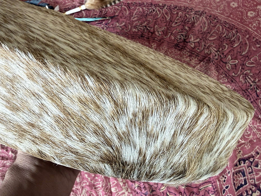 18" Goat Shamanic Drum 4 Directions Lace